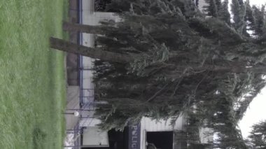 This stock vertical video shows the aftermath of the war in Ukraine - the destroyed and burned building of the police station in Borodyanka, Kyiv region, grey, flat video