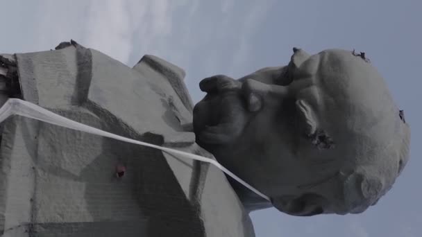 Stock Vertical Video Shows Shot Monument Taras Shevchenko Borodyanka Ukraine — kuvapankkivideo