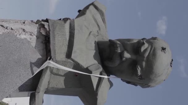 Stock Vertical Video Shows Shot Monument Taras Shevchenko Borodyanka Ukraine — Vídeo de Stock