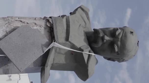 Stock Vertical Video Shows Shot Monument Taras Shevchenko Borodyanka Ukraine — 비디오