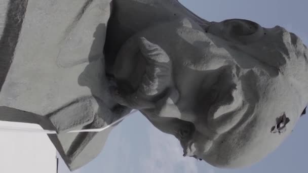 Stock Vertical Video Shows Shot Monument Taras Shevchenko Borodyanka Ukraine — Stok Video