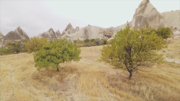 Deze Stockvideo Toont Een Luchtfoto Van Cappadocië Turkije Resolutie — Stockvideo