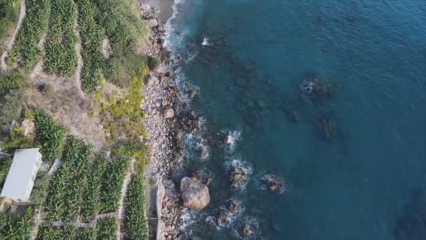 Кадрах Показано Воздушное Пространство Средиземноморского Побережья Турции Разрешении — стоковое видео