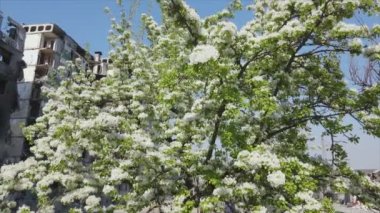 Bu video, Ukrayna 'daki savaşın sonucunu gösteriyor. Borodyanka, Bucha' da 8K çözünürlüklü bir yerleşim yeri.