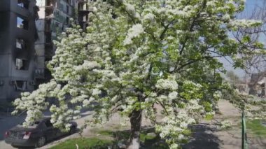 Bu video, Ukrayna 'daki savaşın sonucunu gösteriyor. Borodyanka, Bucha' da 8K çözünürlüklü bir yerleşim yeri.