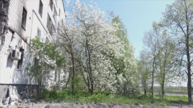 Bu video, Ukrayna 'daki savaşın sonucunu gösteriyor. Borodyanka, Bucha' da 8K çözünürlüklü bir yerleşim yeri.