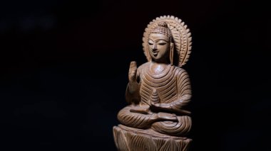 HAYVAN BUDDHA LUMANSA YILDIRIŞMASI.
