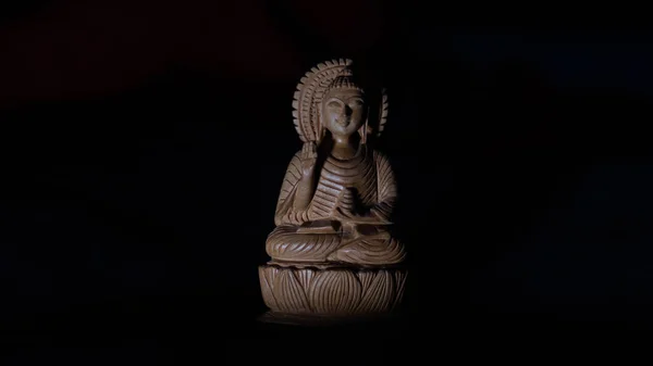 HAYVAN BUDDHA LUMANSA YILDIRIŞMASI.