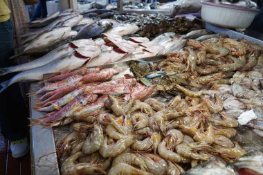 Taze balık ve deniz ürünleri satılığa çıkarıldı..      