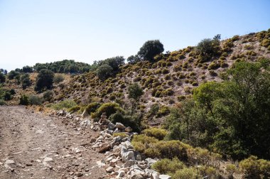 Türkiye 'nin güneyindeki Lycian Yolu boyunca Taurus Dağları' nın yamaçlarında bitkiler.