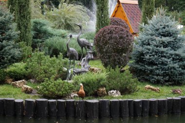 Harkov 'daki Gorky Park' ta çiçek yatakları. Sonbahar 2021