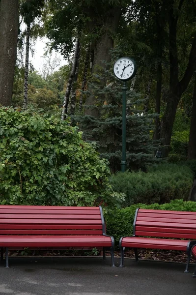 Πάγκοι Και Ρολόγια Στο Γκόρκι Παρκ Στο Χάρκοβο Φθινόπωρο 2021 — Φωτογραφία Αρχείου