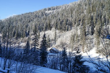 Kışın Karpat Dağları 'nda bir nehir. Parlak güneşli bir gün.