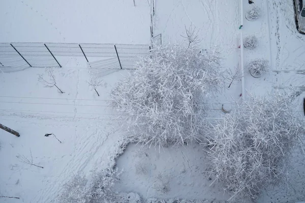 在欧洲 多层楼房的院子里覆盖着刚刚下过雪的雪 — 图库照片