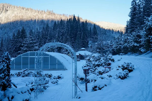 Uma Piscina Coberta Para Inverno Uma Cúpula Hotel Nas Montanhas — Fotografia de Stock