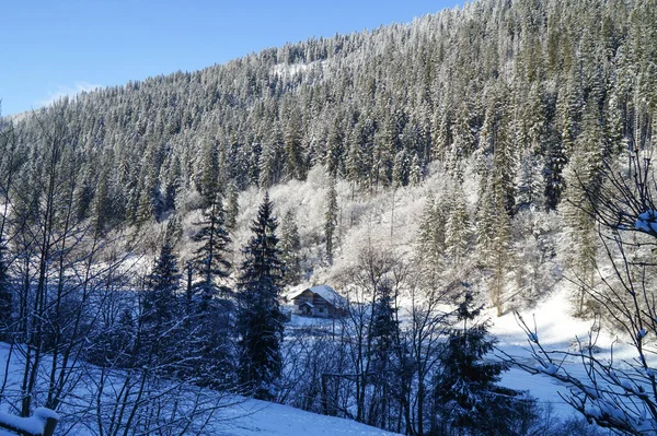 Kışın Karpat Dağları 'nda bir nehir. Parlak güneşli bir gün.