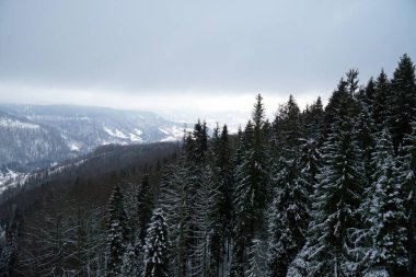 Bir kış günü Karpat Dağlarından birinin en üst manzarası.