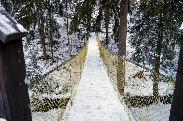 Σχοινί Πάρκο Περιπέτειας Στα Βουνά Στο Δάσος Χειμώνα — Φωτογραφία Αρχείου