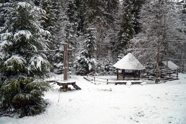 Ένα Κιόσκι Ένα Χιονισμένο Χειμερινό Δάσος Στα Καρπάθια Όρη — Φωτογραφία Αρχείου