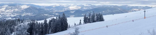 Paysages Hivernaux Forêts Conifères Enneigées Dans Les Carpates — Photo