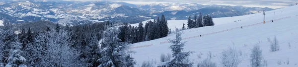 Beau Paysage Avec Sapin Neigeux Dans Neige — Photo