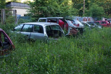 Eski parçalanmış arabaları ormana atın..