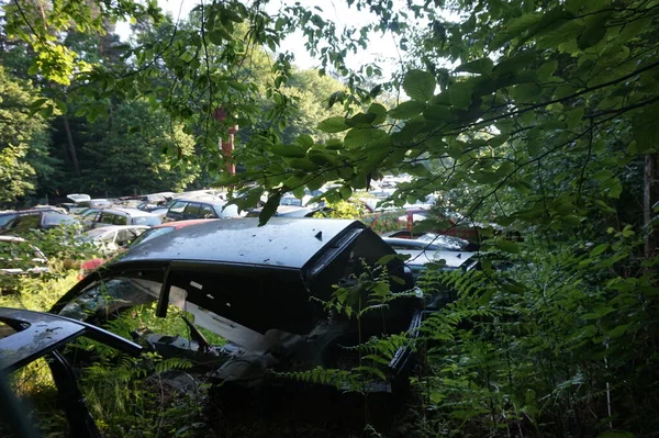 Dump of old disassembled cars in the forest.