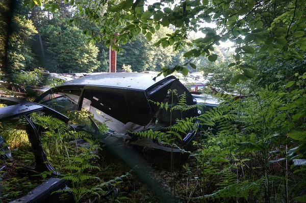 Entsorgung Alter Zerlegter Autos Wald — Stockfoto