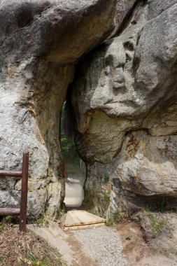 Karpatya dağlarında yumuşak ve yüksek kireçtaşı kayaları.