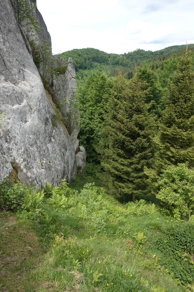 Soft and high limestone rocks in the Carpathian mountains.