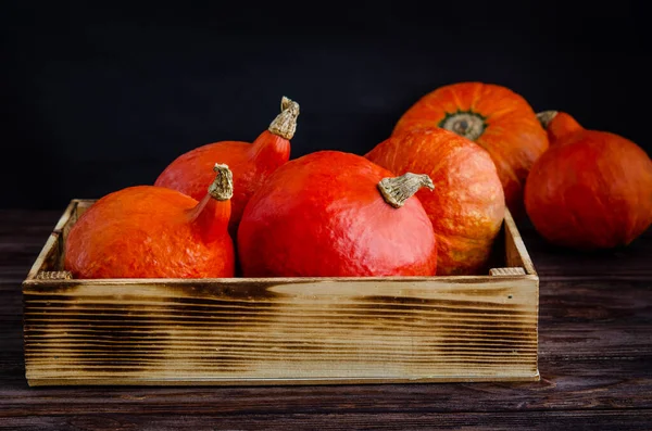 Orangefarbene Süße Kürbisse Einer Holzkiste Vor Dunklem Hintergrund Herbsterntekonzept Nahaufnahme — Stockfoto