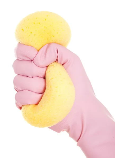 Cleaning with sponge — Stock Photo, Image