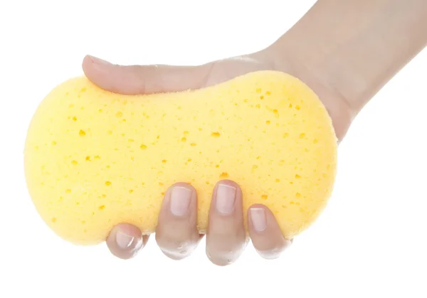 Cleaning with sponge — Stock Photo, Image