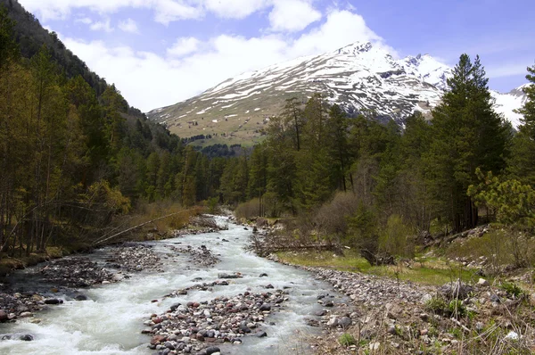 Floden terskol i regionen elbrus Stockbild