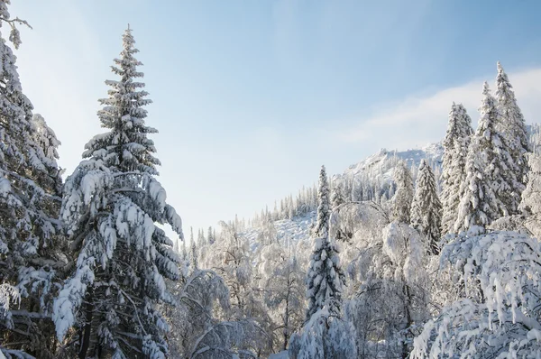 Schneebedeckte Berge im Winter — Stockfoto