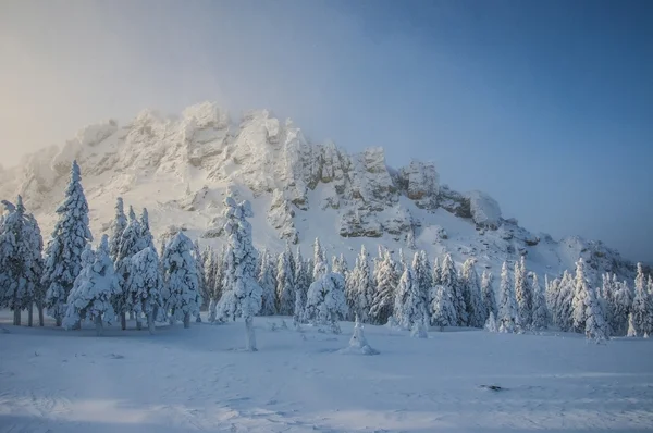 Winter mountains — Stock Photo, Image