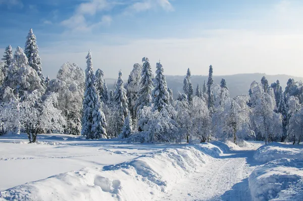 Route d'hiver dans les montagnes Images De Stock Libres De Droits