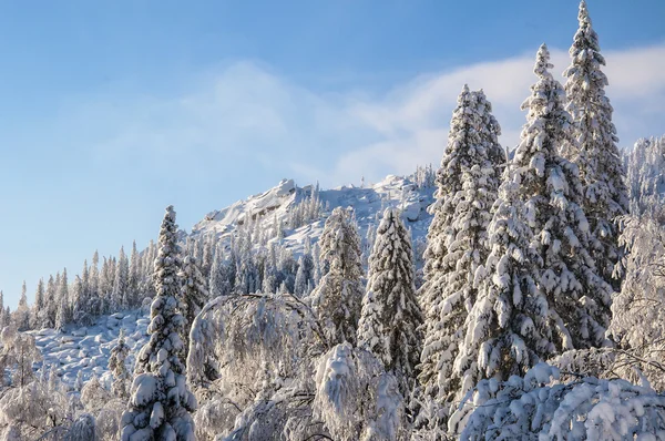 Hiver dans les montagnes Photos De Stock Libres De Droits