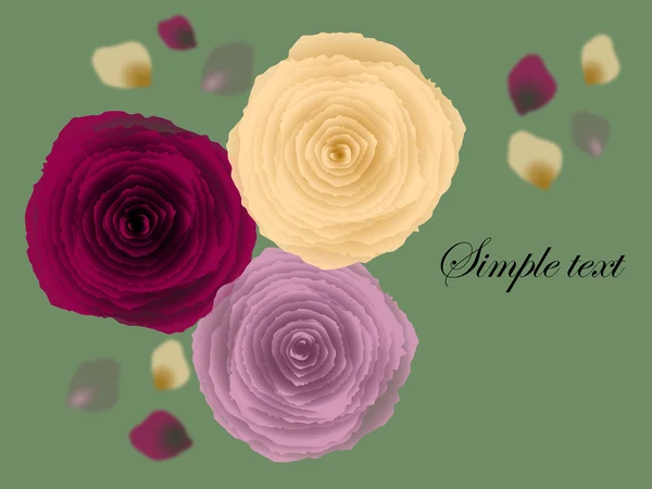 güzel bir gül. kart. arka plan.