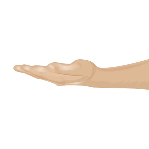 Mano de hombre sobre fondo blanco — Vector de stock