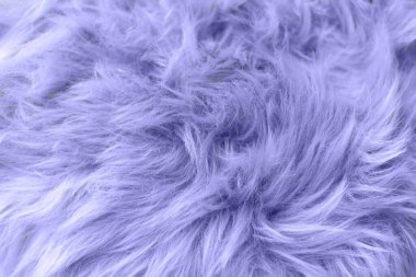 Samara, Rusya - 09 Aralık 2021: Pantone Color 2022 Very Peri Top View. Kabarık yün doku örneği. Moda, moda, makyaj tasarımı konsepti