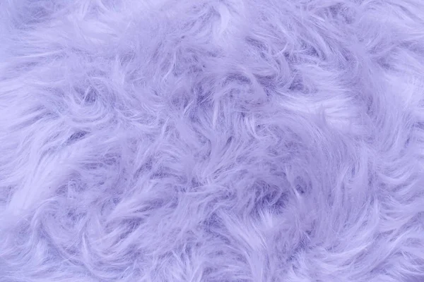 Samara, Rusland - 09 december 2021: Pantone Kleur 2022 Zeer Peri Top View. Fluffy Wool textuur monster. trendy beauty, fashion, make-up design concept — Stockfoto