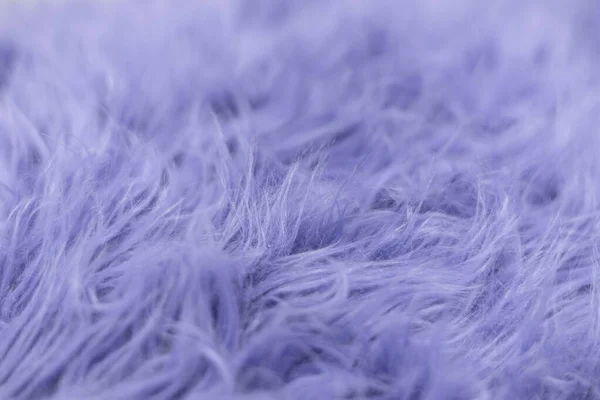 Samara, Rusia - 09 de diciembre de 2021: Pantone Color 2022 Very Peri Top View. Muestra de textura de lana esponjosa. belleza de moda, moda, concepto de diseño de maquillaje — Foto de Stock