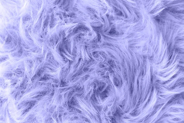 Колір 2022 року, Дуже Пері. Top view Fluffy wool texture sample Дивовижна краса, модний і сучасний дизайн концепції. — стокове фото