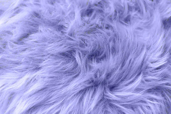 Samara, Rusia - 09 de diciembre de 2021: Pantone Color 2022 Very Peri Top View. Muestra de textura de lana esponjosa. belleza de moda, moda, concepto de diseño de maquillaje Fotos de stock