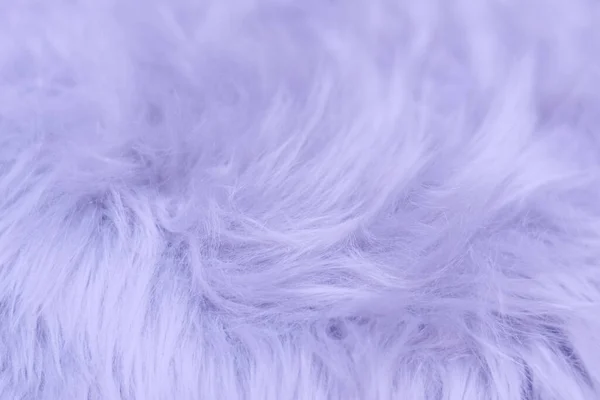 2022年に毛皮の紫。流行・流行のコンセプト — ストック写真