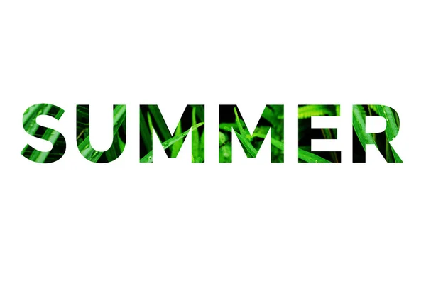 Красочное слово лето с изображениями травы внутри букв на белом фоне. — стоковое фото