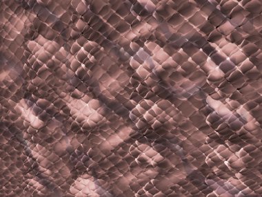 yılan derisi arka plan