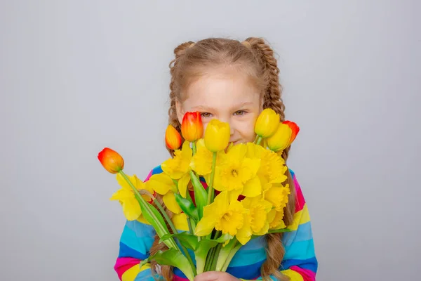 Cute Little Girl Multicolored Sweater Holds Bouquet Spring Flowers White — Stok fotoğraf