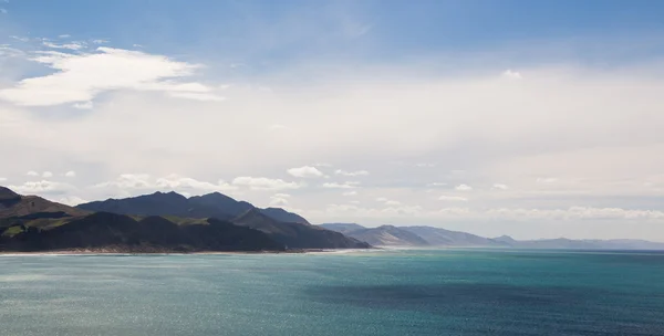 新西兰海岸 — 图库照片